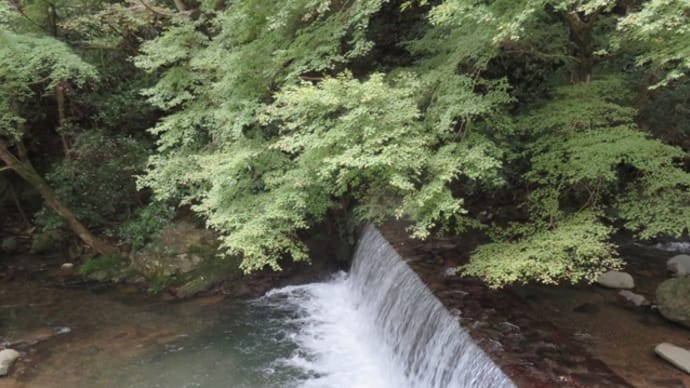 奥湯河原温泉へ