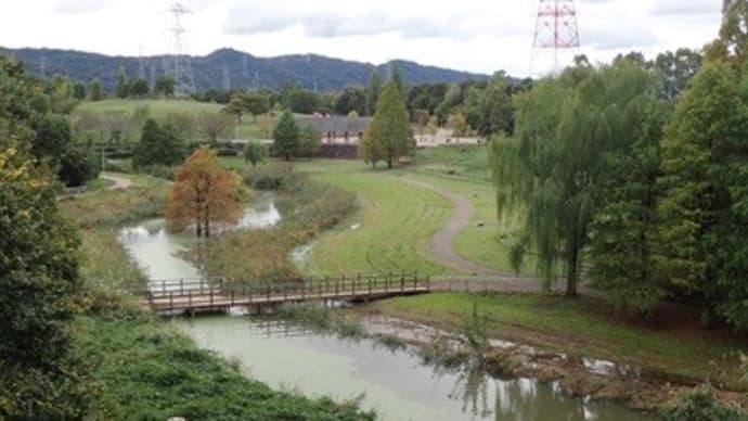 大阪府営山田池公園 河原をウオーキング