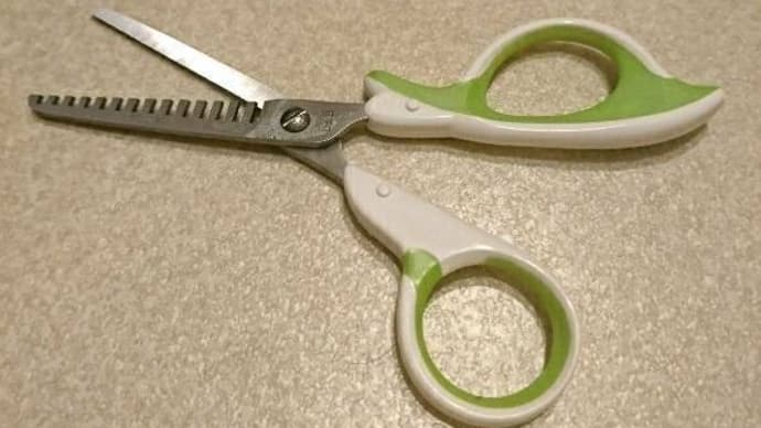 セルフヘアカット、やってしまった