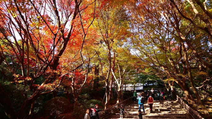 【京都幕間旅情】龍安寺,戻ってきた観光客と修学旅行生に迎える京都の物価高という2023年の印象