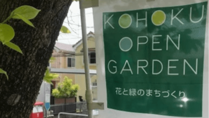 日吉・街あるき♫~港北オープンガーデン