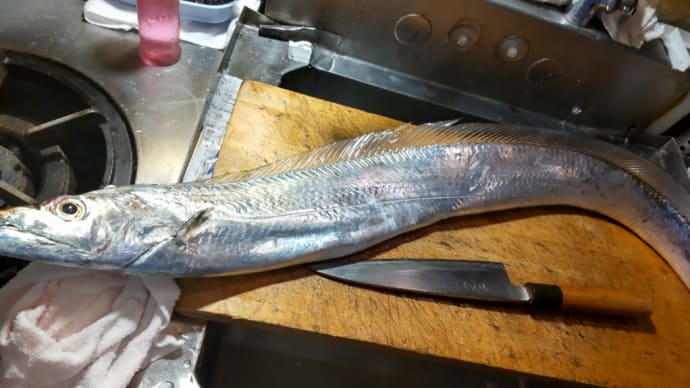 釣り物太刀魚