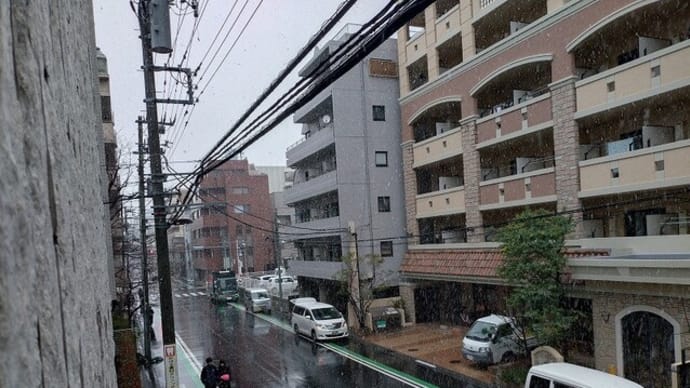 ゆ~きやこんこ あ~られやこんこ~🎵