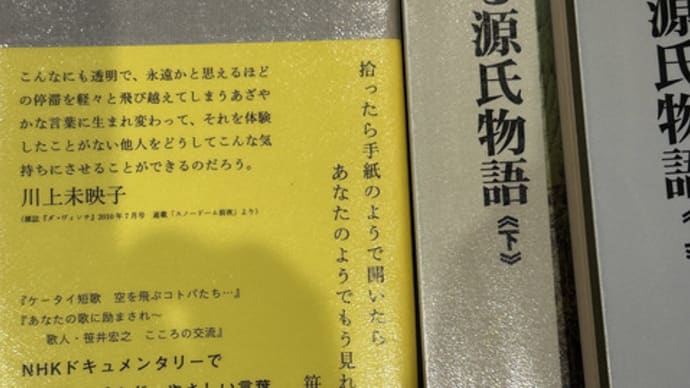 笹井宏之