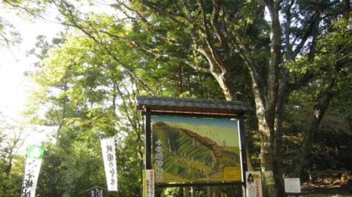 小谷城跡(6)