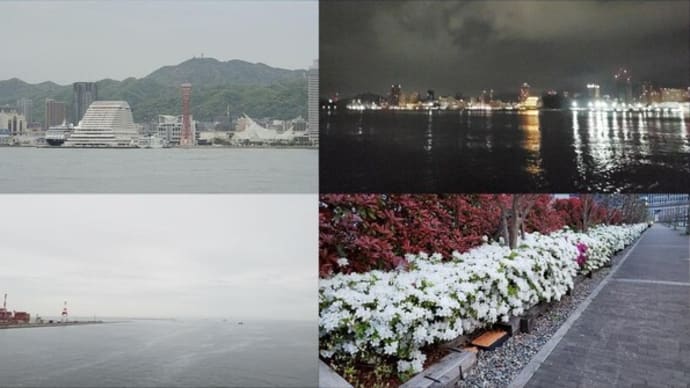 2024年4月21日　昨日，今朝の風景　神戸港／昼下がり，夜明け前，日の出せず，ツツジ満開