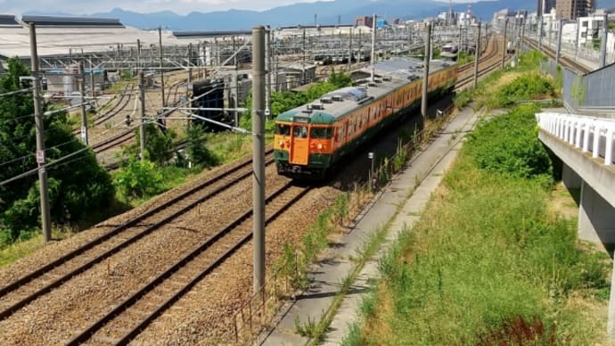 今日も鉄分