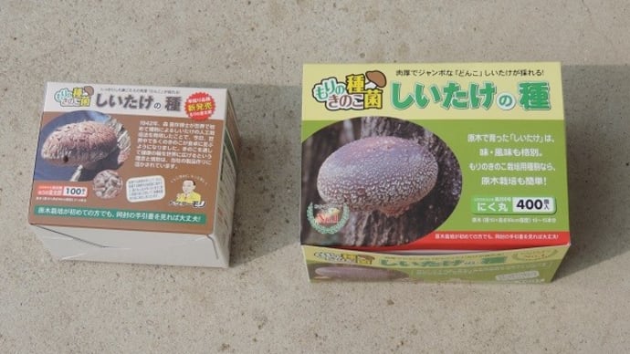 椎茸植菌