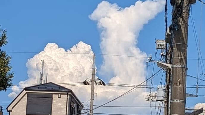 🐪ラクダ雲🐪
