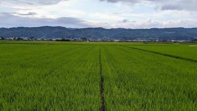 ADVフロントタイヤ交換…(^O^)