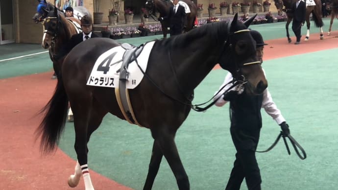 牡馬混合戦ドゥラリス残念ながら6着