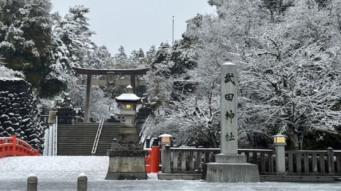 昨日は甲府でも久々の大雪警報でした。