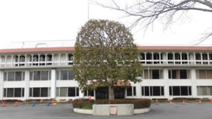 ご当地マンホール in 千葉県旧下総町・旧大栄町（成田市）