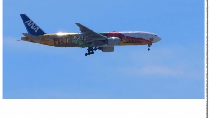 夏空にANAの特別塗装機「　HELLO 2020 JET　」