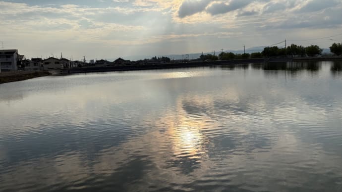 夕方散歩