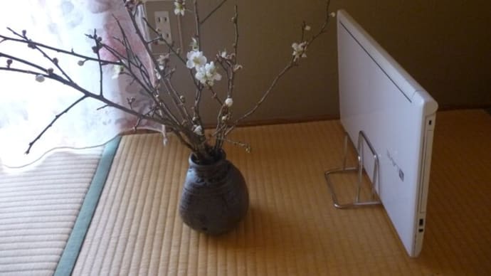 1月28日 無印のまな板立て
