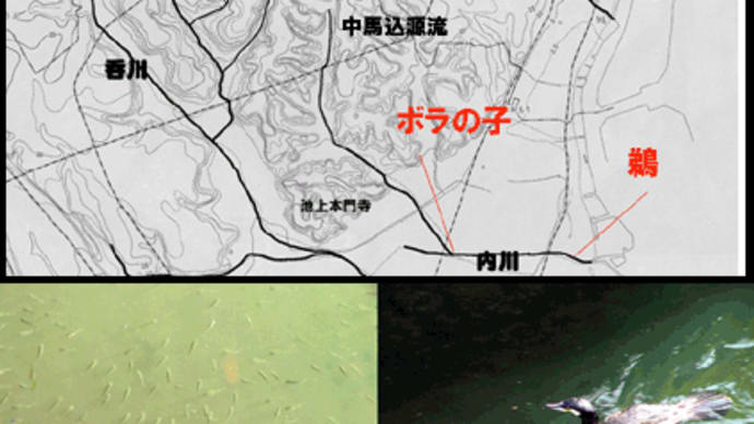 内川大奇行プロローグ