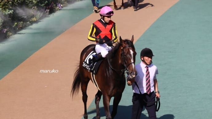 春競馬8