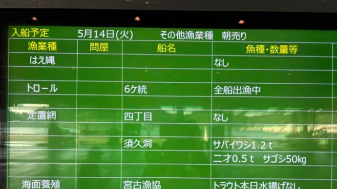 シケ明け…