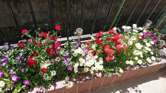 しれっと、ブログ満１７年　