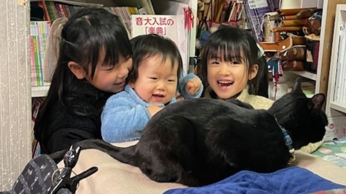 黒猫ジジィと教室のみなさん 2月