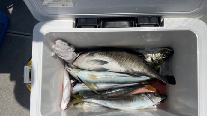 3日・釣果