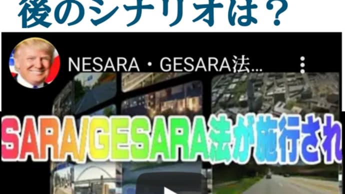 トランプ【ネサラNESARA・GESARA法が施行された】30日間のレッドウェーブ!10月11日〜11月11日!近々緊急放送【平和&お金に困らない生活】トランプは7つの王国の王になる!詳しくは動画にて