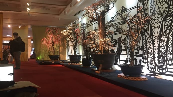長浜盆梅展