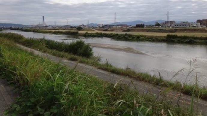 阪和貨物廃線跡を追う4