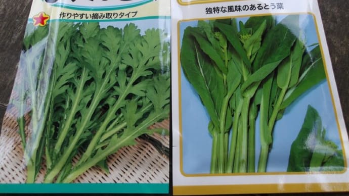 草藪からご褒美カボチャ