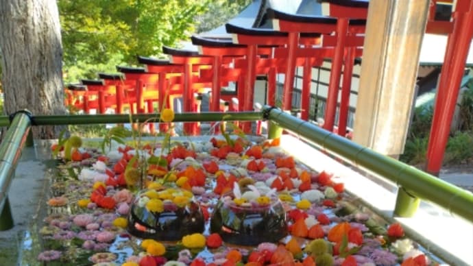小樽住吉神社の花手水（2022年９月）