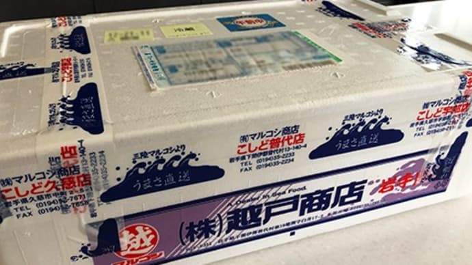漁獲量減少の生鮭を捌(さば)きました。
