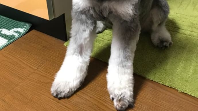わたしもおねがい　^^;