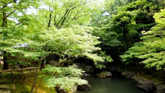 今日は病院へ