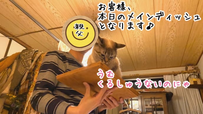 本日のメインディッシュは…