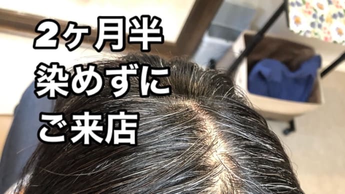 白髪隠しウィッグ