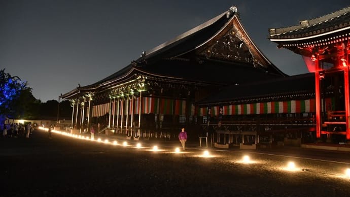 西本願寺 ライトアップ