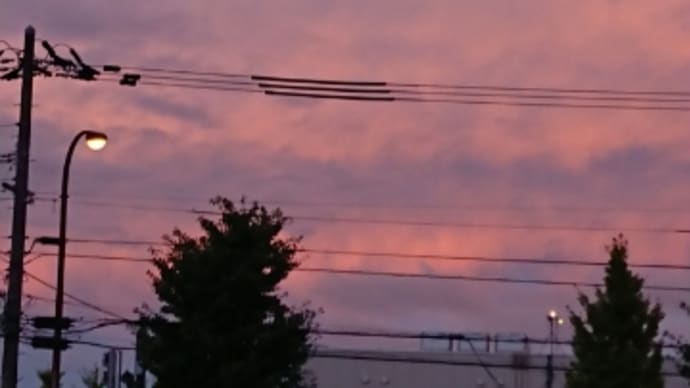 みんな気にはしてるんだ。