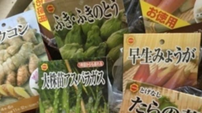 #ファーマーズマーケット【舟丘の市】へ…【#アタリヤ農園】良い種搬入のhanacafeマルシェ県下一(╹◡╹)♡