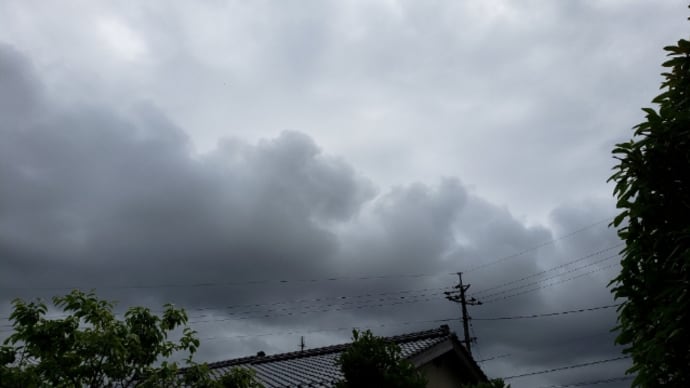 雨の恵み~😅