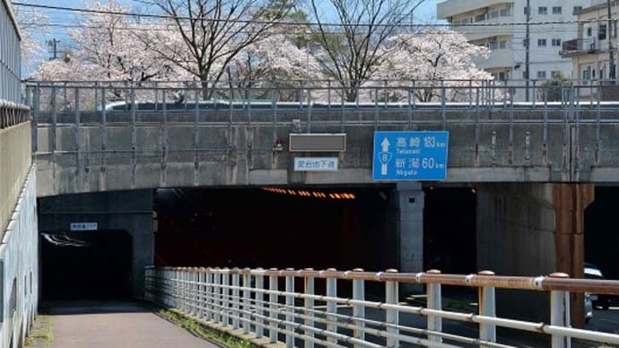 桜花見 2020(6)~「愛宕公園」