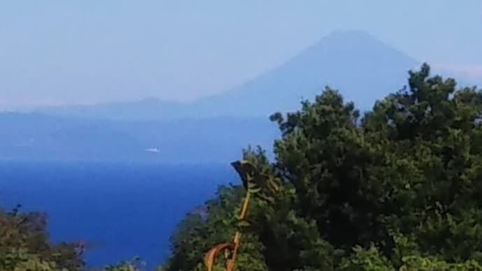 富士山!