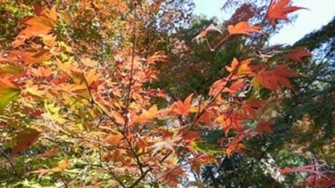 16、松風 ③