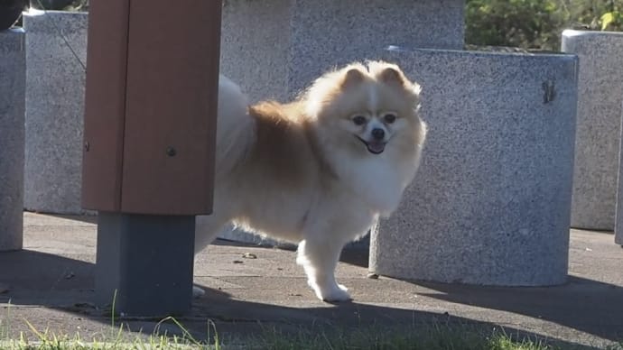 ビバ!北海道!フェリーターミナルを目指して