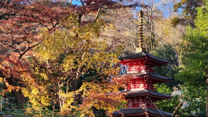 色々あったお散歩