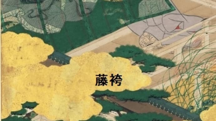 30- 平安人の心 「藤袴：尚侍となる玉鬘の心中」