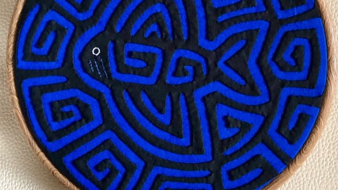 二色モラ 魚