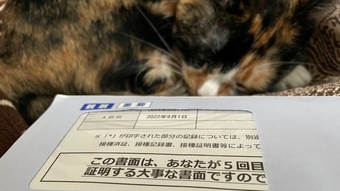 5回目のコロナワクチン接種完了💉