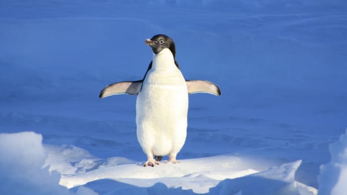❄️ヴォーン=ウィリアムズ🐧交響曲第７番「南極交響曲」🌏船の行く手を阻むはペンギンの群れ!? 漫画で楽しめる半世紀前の南極観測隊の活躍