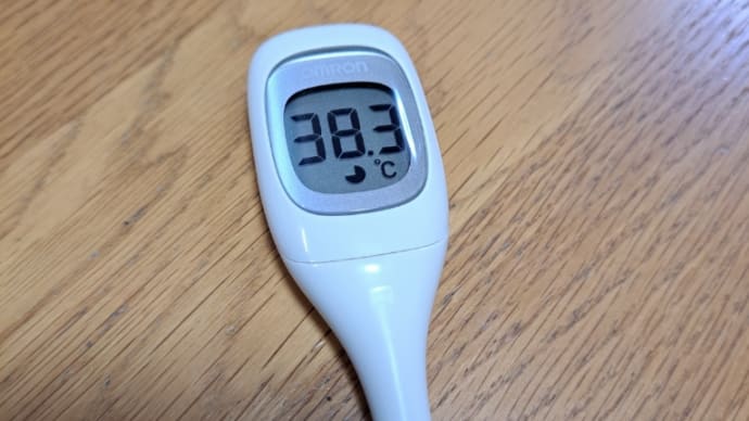 発熱しました。